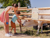 Camping Le Bois Joli Vendée lagon  **** Maeva Escapades