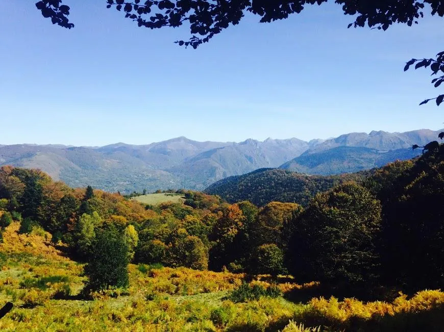 Camping LE CASTELLA - image n°9 - UniversalBooking