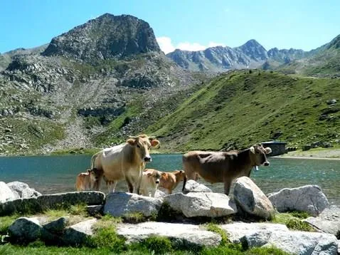 Camping du Lac Mercus - image n°52 - UniversalBooking