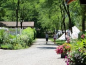 Camping du Lac Mercus