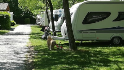 Comfort Package : car + tent/caravan or camping-car + electricity 6A/ 10A (2 pers.) — 1