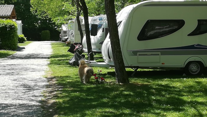 Forfait Confort : Voiture + Tente/Caravane Ou Camping-Car + Électricité 6A / 10A (2 Pers.)