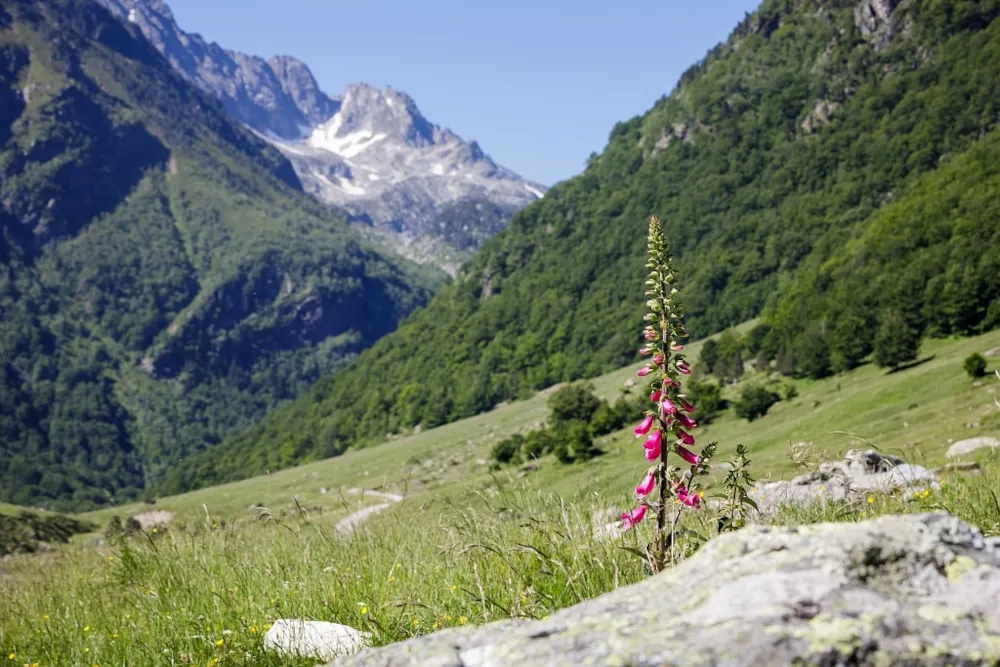 Camping du Lac Mercus - image n°44 - UniversalBooking