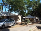 Bungalow Tenda Lodge / 2 Camere Bungalow Tenda Lodge / 2 Camere