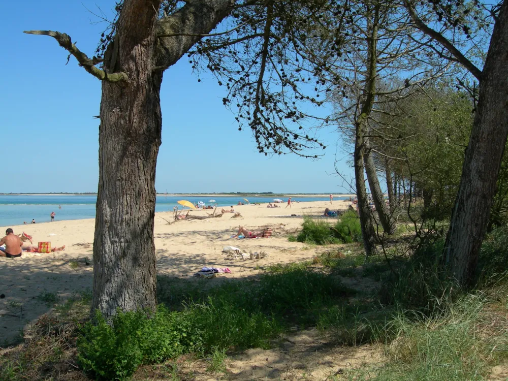 Camping APV Antioche - image n°38 - UniversalBooking