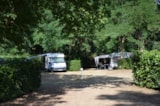 Foto #6 van Flower Camping LES MIJEANNES