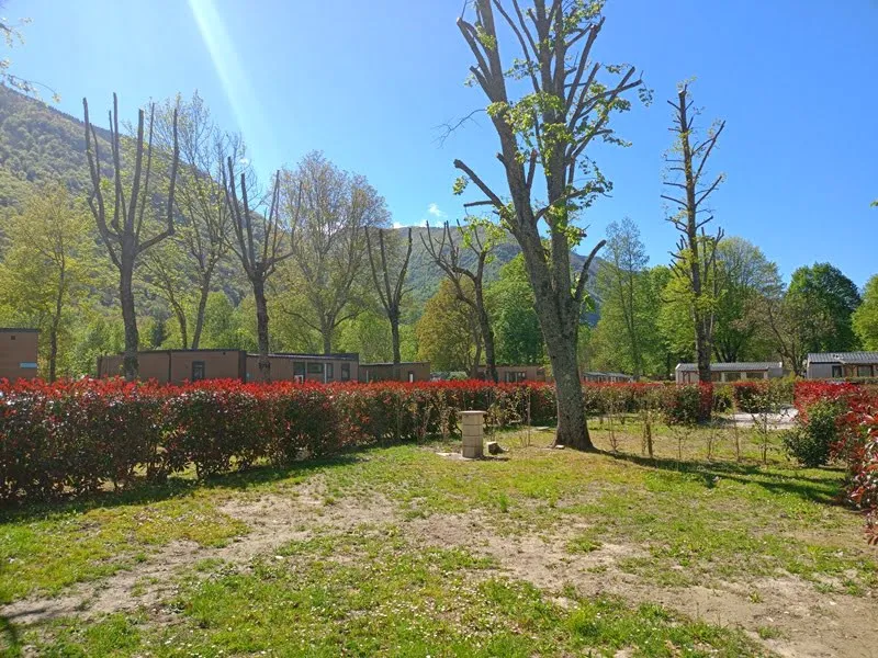 Emplacement - Forfait Randonneur Sans Électricité Sans Voiture - Flower Camping La Marmotte