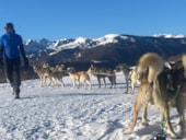 Flower Camping La Marmotte