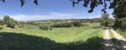 Foto #1 van Camping Village Mar Y Sierra