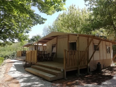 Trend Lodge — 1
