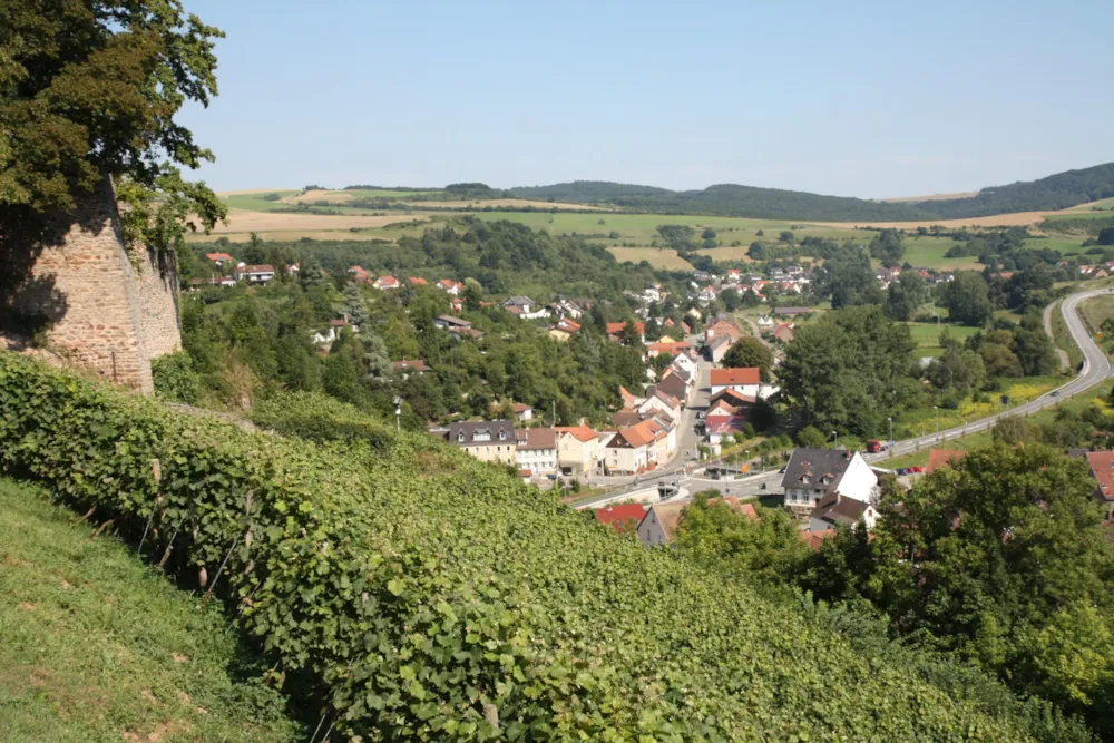 Campingplatz Am Königsberg - image n°2 - UniversalBooking