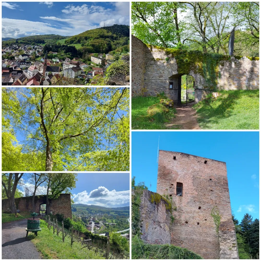 Campingplatz Am Königsberg - image n°3 - UniversalBooking