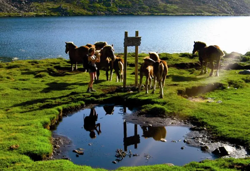 Camping L'Enclave - image n°25 - UniversalBooking