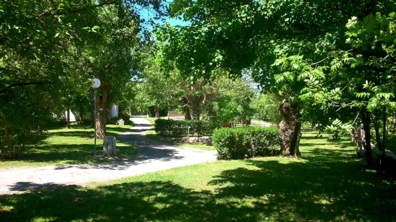 Forfait Grand Confort : Emplacement + Voiture + Electricité 6 A + Eau Et Évacuation