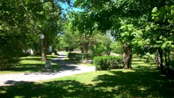 Stellplatz - Stellplatz Confort  + Fahrzeug + Strom 3 A - Camping L'Enclave
