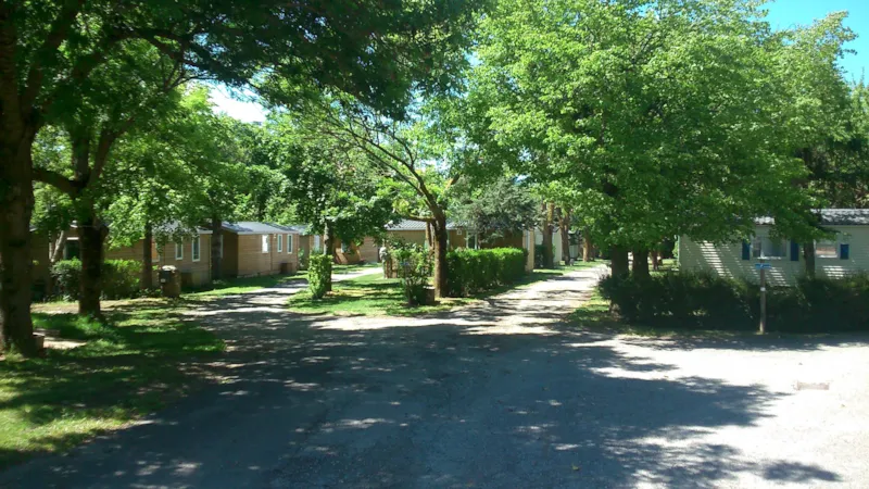 Forfait Confort : Emplacement + Voiture + Electricité 3 A