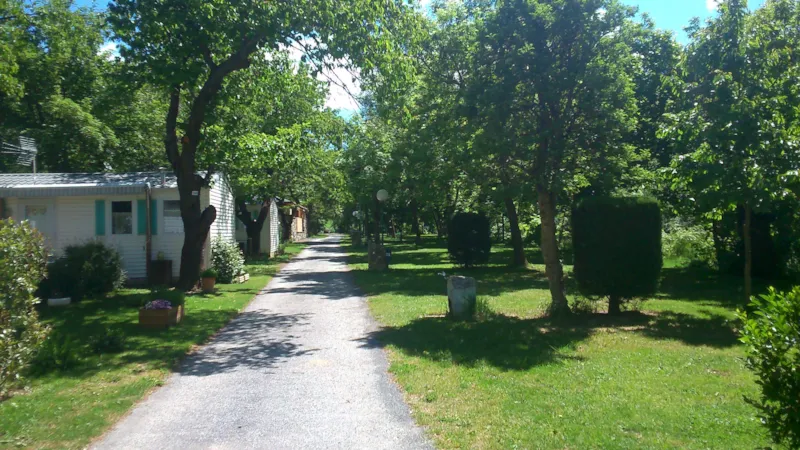 Forfait Standard : Emplacement + Voiture