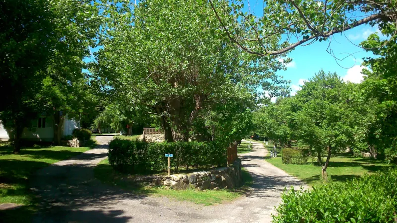 Forfait Standard : Emplacement + Voiture