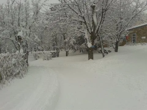 Forfait Grand Confort : Emplacement + Voiture + Electricité 6 A + Eau Et Évacuation