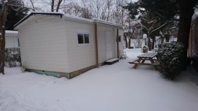 Mobil-home Narcisse 26m2- arrive on wednesday