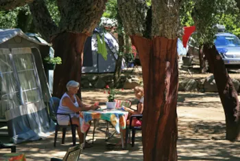 Stellplatz - Stellplatz 2 : Auto + Zelt/Wohnwagen Oder Wohnmobil + Strom1 6A - Camping Les Albères