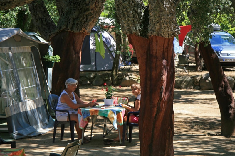 Forfait 2 : Emplacement + tente ou caravane ou camping-car + véhicule + électricité 16A