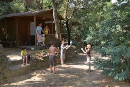 Huuraccommodatie(s) - Houten Huisje 2 Pers 18M² -  Half-Schaduwrijk Terras - Camping Les Albères