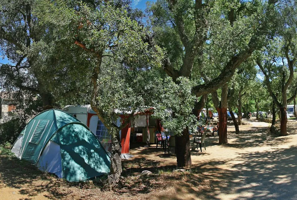 Emplacement - Forfait 3 : Empl Tente Ou Caravane Ou Camping-Car + Véhicule + Élect 16A (Frigo + Bbq+Wifi+2 Velos) - Camping Les Albères