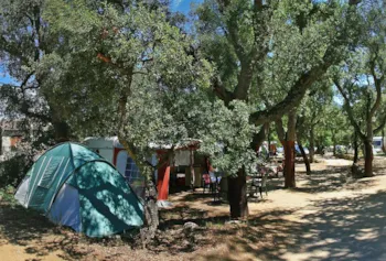 Stellplatz - Stellplatz 3 : Auto + Zelt/Wohnwagen Oder Wohnmobil + Strom 16A (Frigo+Bbq+Wifi+2 Velos)) - Camping Les Albères