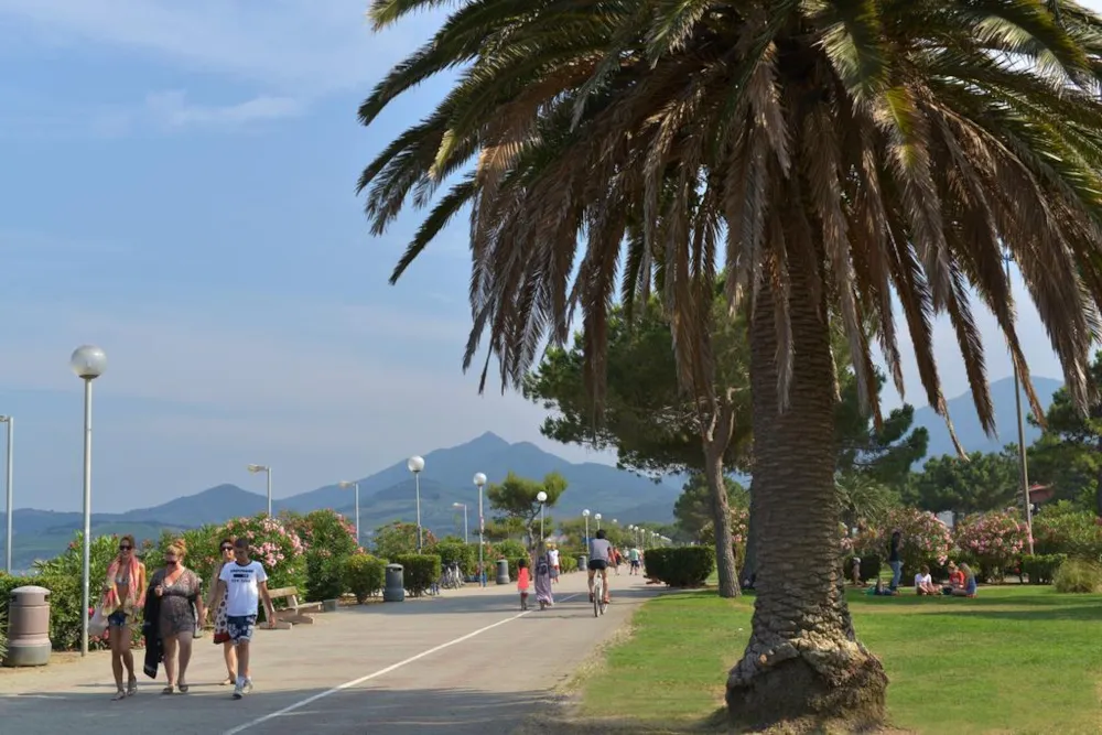 Camping Les Albères