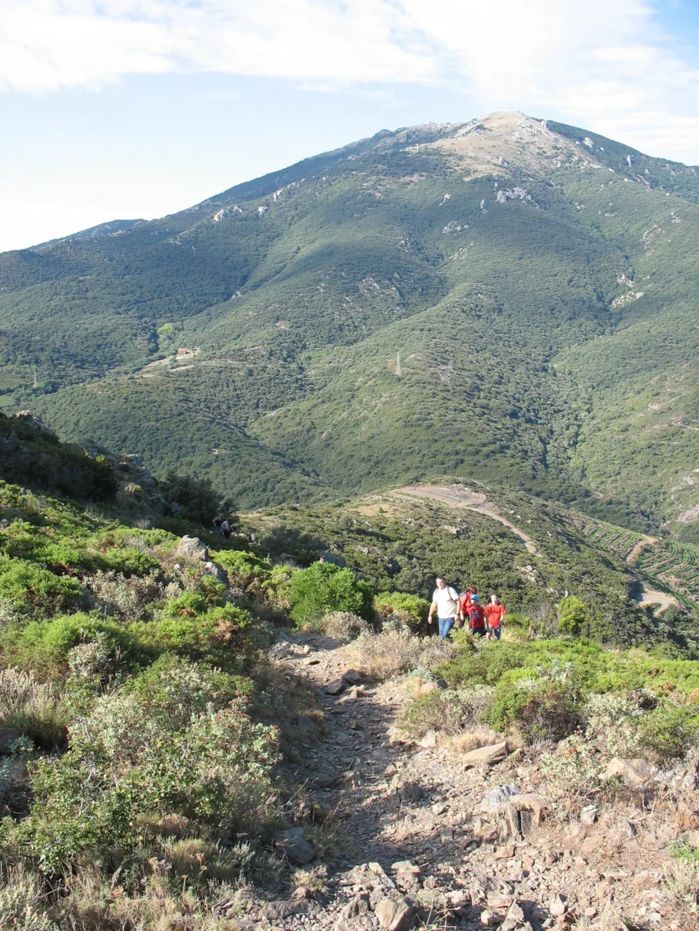 Camping Les Albères