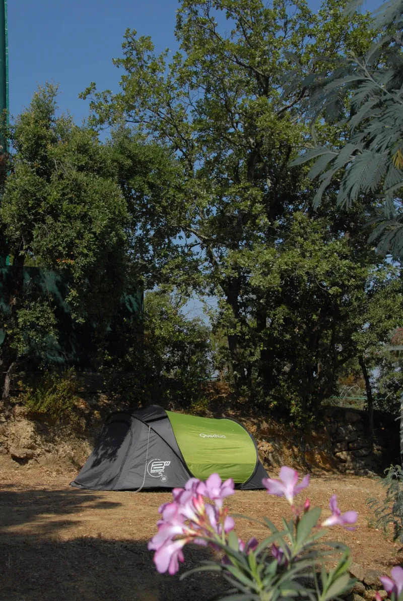 Forfait 2 : Emplacement + Tente Ou Caravane Ou Camping-Car + Véhicule + Électricité 16A