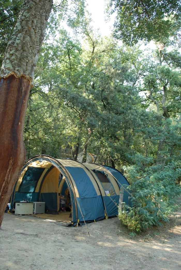 Forfait 2 : Emplacement + Tente Ou Caravane Ou Camping-Car + Véhicule + Électricité 16A