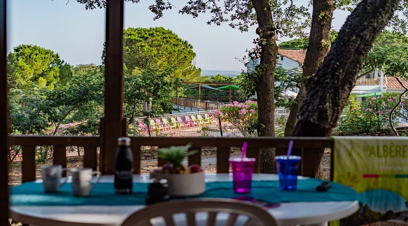 Chalet Bois 2 Pers 18M² - Terrasse Semi-Couverte