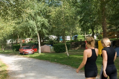 Comfort Package (1 caravan, tent / 1 car)  or motorhome (electricity 10A)