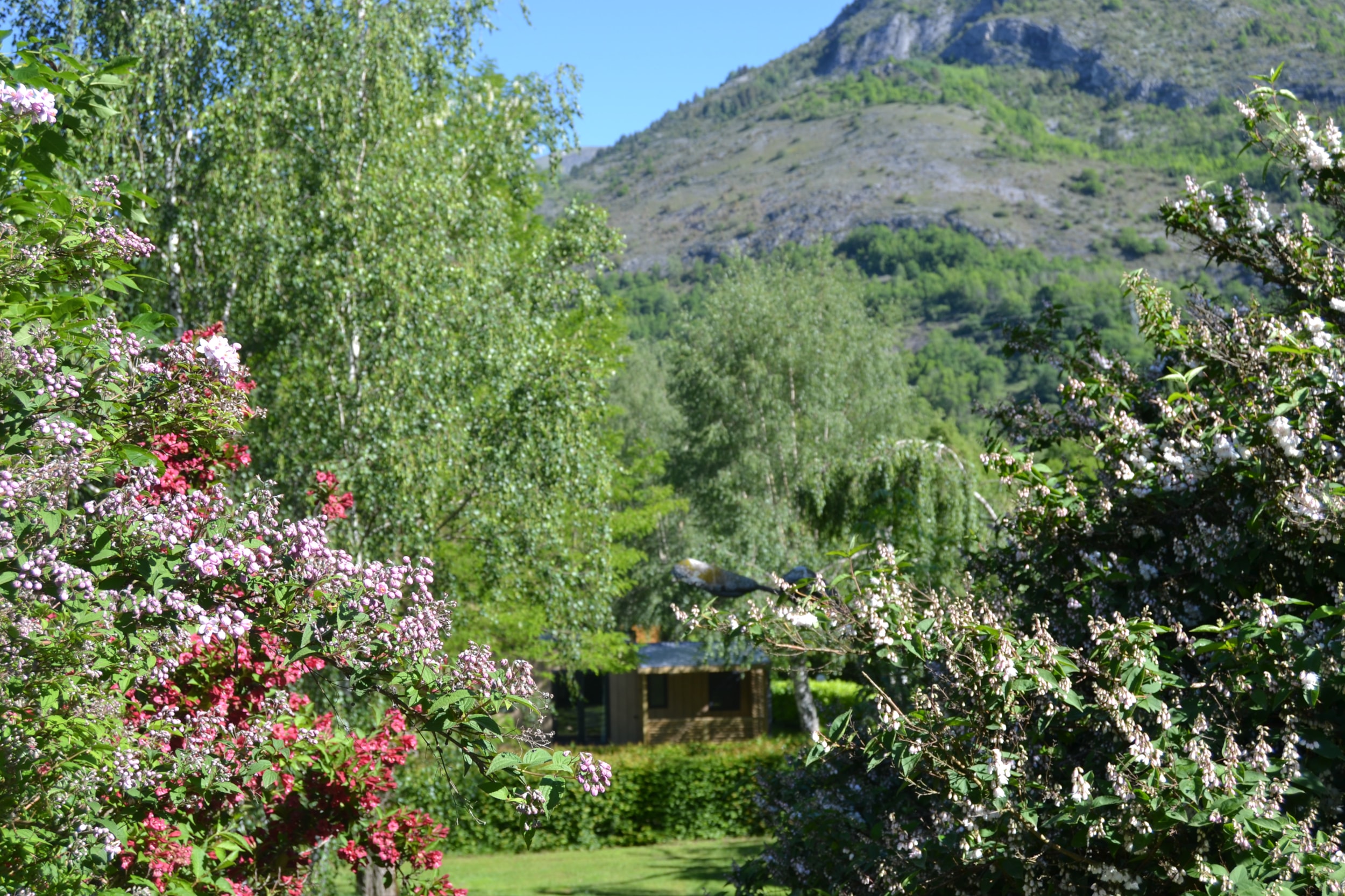 Flower Camping LA BEXANELLE — Photo 3