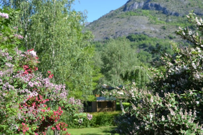 Flower Camping LA BEXANELLE