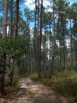 Camping Naturiste du Lac de Lislebonne