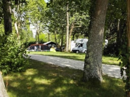 Camping Naturiste du Lac de Lislebonne - image n°8 - 