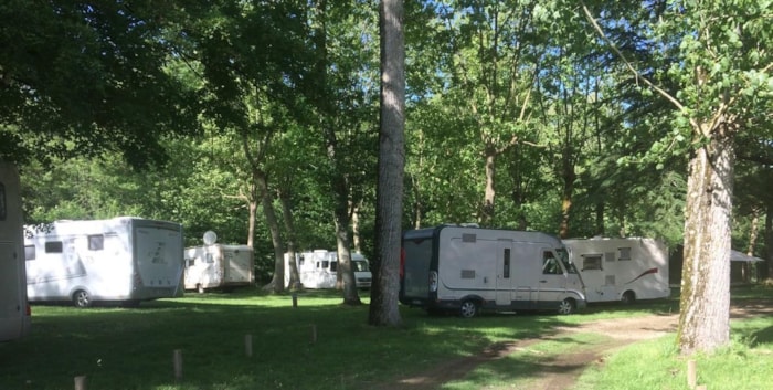 Emplacement Camping (2 Personnes / 1 Tente / Caravane + 1 Voiture /1 Camping-Car / Électricité 10A)