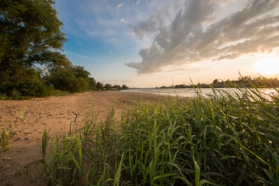 Nature pitch by the river — 9