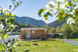 Accommodation - Wooden Cabin 18M² (S) - Camping Les Templiers