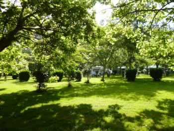 Stellplatz - Stellplatz 10A - Camping Le Mouliat