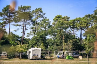 Camping-car pitch package - Electricity 10A — 1