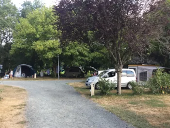 Pitch - Comfort Package (1 Pitch/ 1 Car / Electricity 10A) - Flower Camping Les Granges