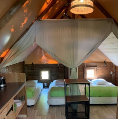 Lodge Amazone standard - 20 m2 + Terrace