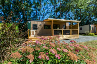 Homeflower Premium 35m² (3 bedrooms) + sheltered terrace