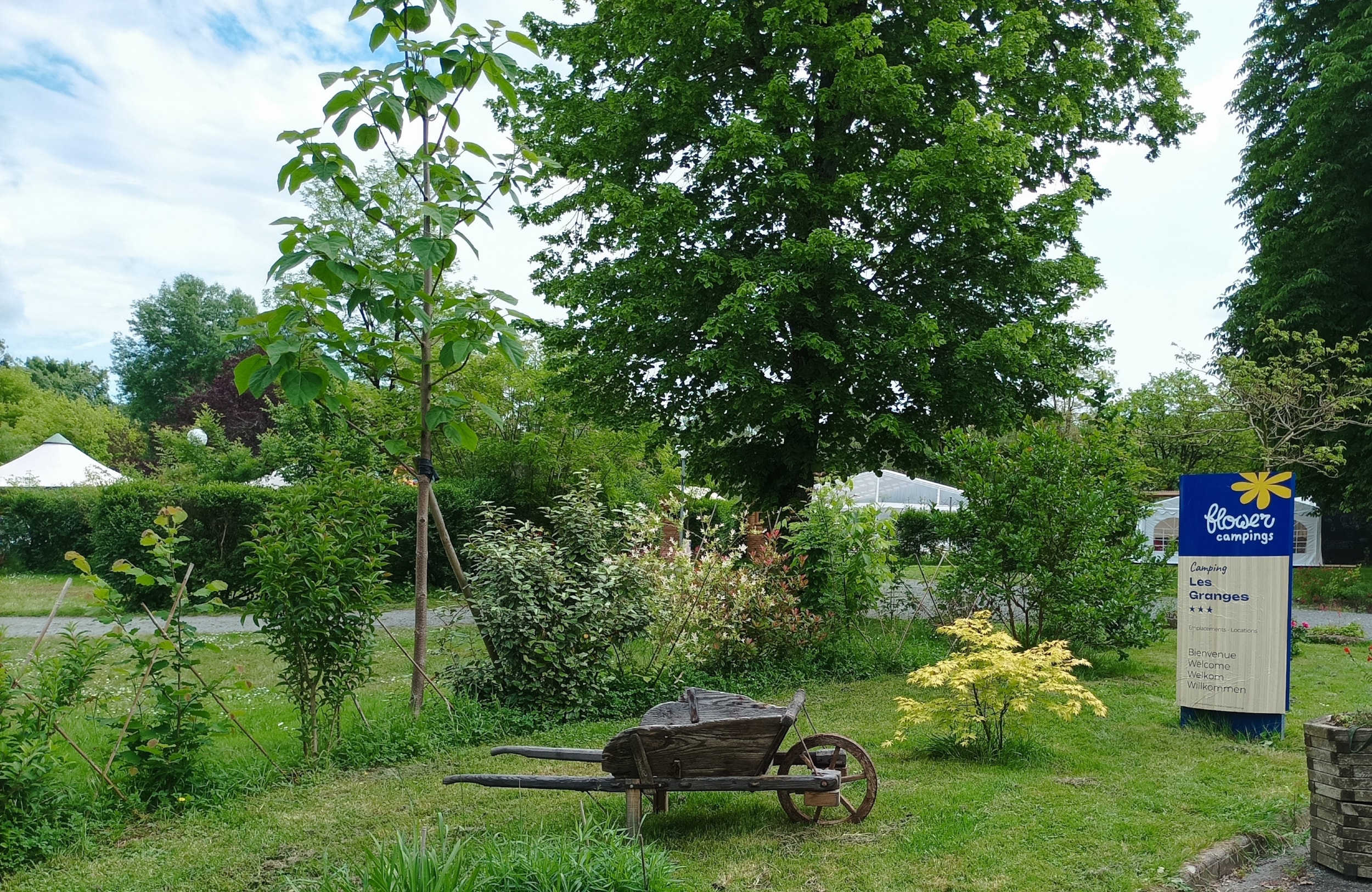 Flower Camping Les Granges — Photo 2