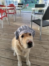 Foto #13 van Flower Camping Les Granges