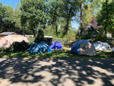 Tent pitch + 1 vehicle (max 6m) - with electricity — 2